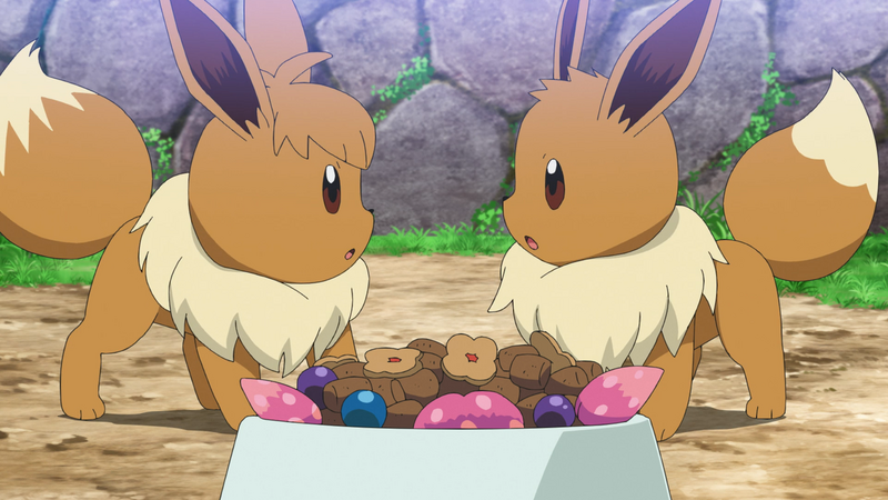 Rabbit Pokémon Ruby And Sapphire Eevee Pokémon X And Y Pokémon