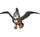 Staravia