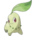 Chikorita