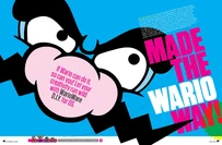 WarioWare D.I.Y. article excerpt