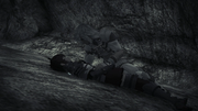 Lora Death