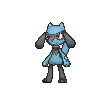 Riolu
