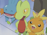 The first partner Pokémon of the Third Pokémon generation, as seen in the Pokémon Omega Ruby and Alpha Sapphire animated trailer.