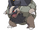 Golem (Alola).png