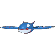 Kyogre