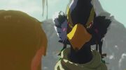 Revali looking suspicious