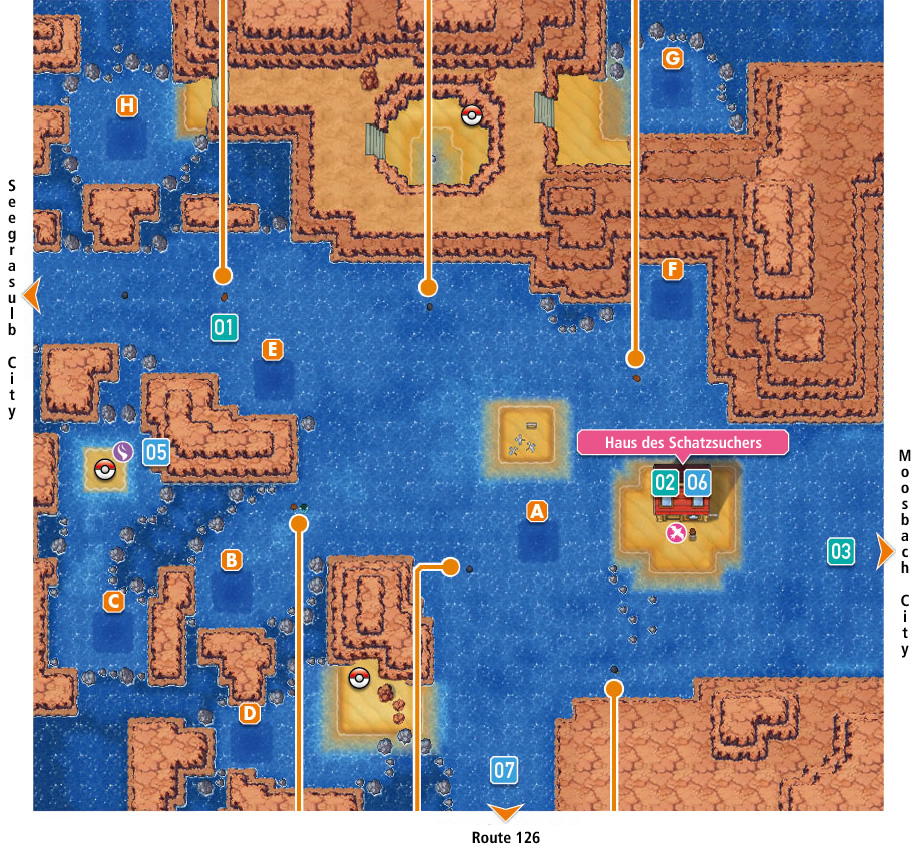 Route 124 | Nintendo | Fandom