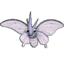 Venomoth