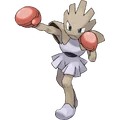Hitmonchan