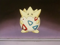 Misty's Togepi