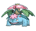 PKMNXY003-M