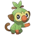 Grookey