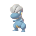 PKMNSS371