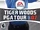 Tiger Woods PGA Tour 07