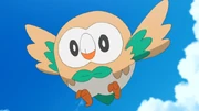 Ash's Rowlet
