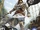 Assassin's Creed IV: Black Flag