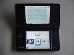 Nintendo DSi, Nintendo