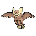 Noctowl