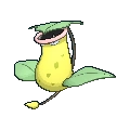 Victreebel