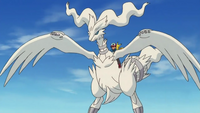 Overdrive mode for Reshiram & zekrom? - General Discussion - The