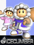 Popo and Nana as they appear in Super Smash Bros. Melee