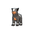 Houndour