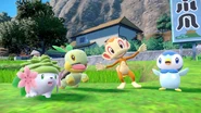 The first partner Pokémon of the Fourth Pokémon generation, as seen in Pokémon Scarlet and Violet, alongside Shaymin.