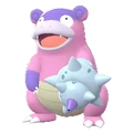 PKMNZA080-G