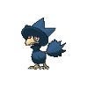 PKMNXY198