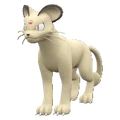 PKMNSV053