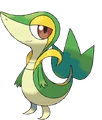 Snivy