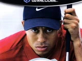 Tiger Woods PGA Tour 2004