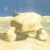 Stone-talus-rare