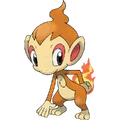 Chimchar