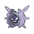 Cloyster