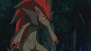 Zoroark in 