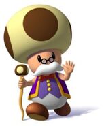 Toadsworth's appearance in Super Mario Sunshine.