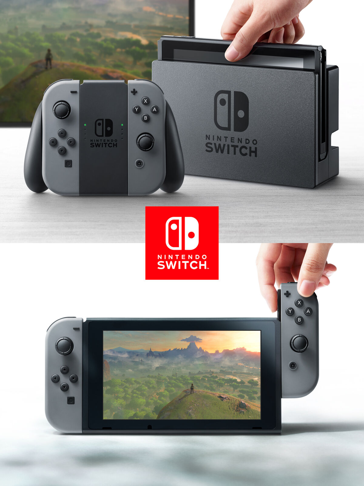 Nintendo Switch, Nintendo Wiki