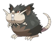 Raticate
