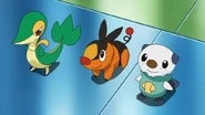 The first partner Pokémon of the Fifth Pokémon generation, as seen in the anime.