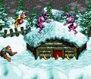 Donkey Kong Country 3 gameplay.