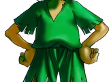 Kokiri
