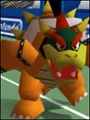 Bowser MT64