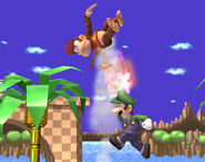 Luigi Diddy Kong fly