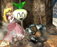 Super Smash Bros. Brawl screenshot.