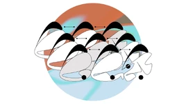 Evolution Evolution Evolution