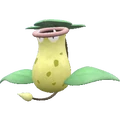 PKMNSV071