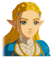 Princess Zelda's Default Mugshot
