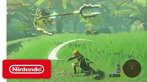 The Legend of Zelda Breath of the Wild – Let’s Play Video