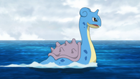 Lapras anime